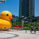 Image for article titled In China, There Are Too Many Giant Rubber Duck Rip-Offs